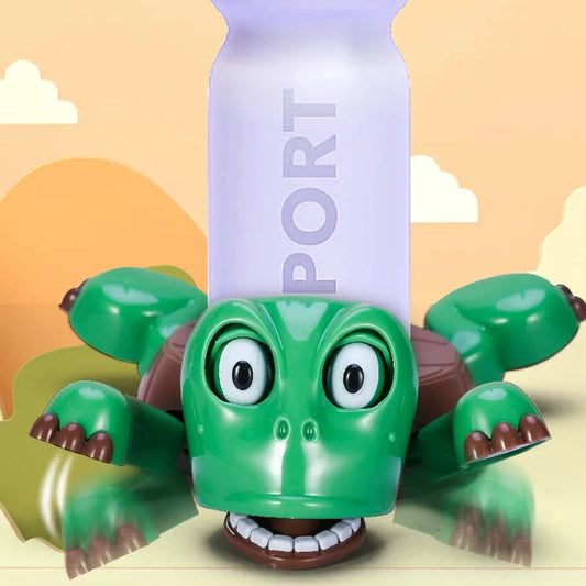 Turtle Coaster